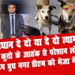 dog issue noida