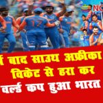 indiat20winner
