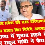 haryana election