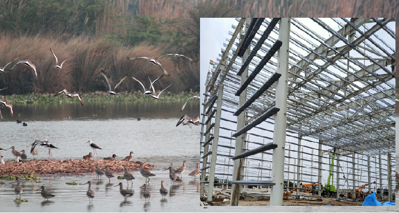 surajpur wetland 1