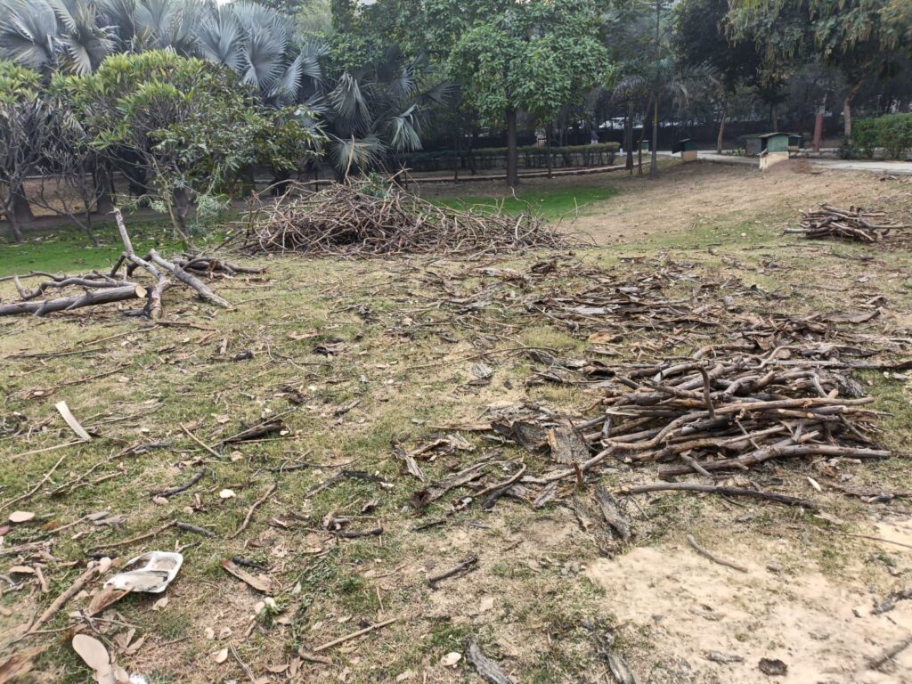 निवासियों और RWA नेताओं के बीच फंसा नोएडा उद्यान विभाग : मेघदूतम पार्क के पेड़ों में आग लगने के बाद अब सूखे पेड़ काटने पर विवाद 6 img 20241231 wa00335117658843689312985