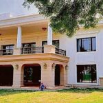 FB IMG 1739102295497