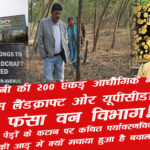 daewoo moters forest dept