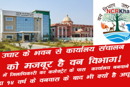 forest office in gautam budh nagar 1