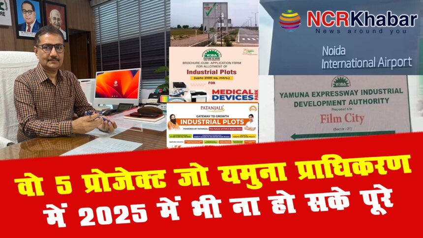 5 delay projects of yamuna authorty