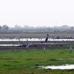 WhatsApp Image 2025 12 05 at 15.38.34 2361846e