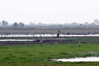 WhatsApp Image 2025 12 05 at 15.38.34 2361846e