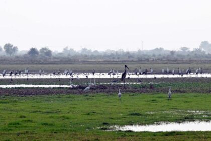 WhatsApp Image 2025 12 05 at 15.38.34 2361846e