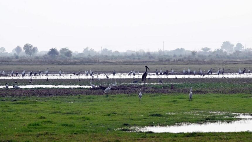 WhatsApp Image 2025 12 05 at 15.38.34 2361846e