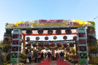 f3ae8a5a 6281 47c3 8734 fef66b38ecf3