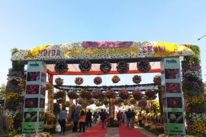 f3ae8a5a 6281 47c3 8734 fef66b38ecf3