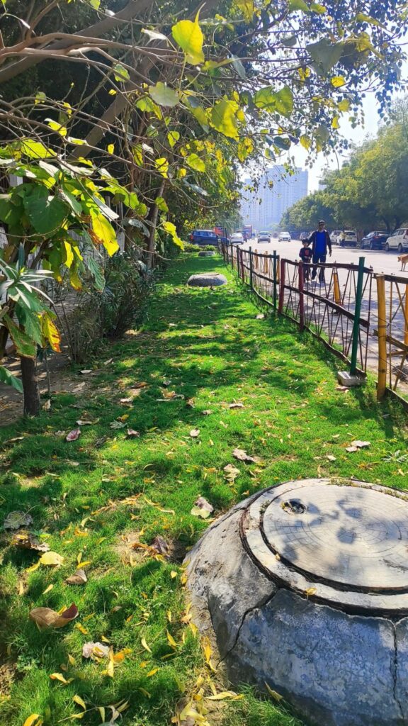 गलगोटिया का AI कांड हमारी उच्च कॉर्पोरेट शिक्षा व्यवस्था का चरित्र बताता है, नोएडा, ग्रेटर नोएडा आइए इसमें कुछ नया नहीं है, यहां हमाम में सब नंगे है! 2 img 20260219 wa00612969937022241174453