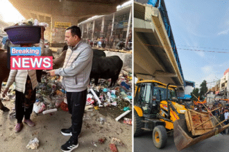 vijay rawal dgm noida