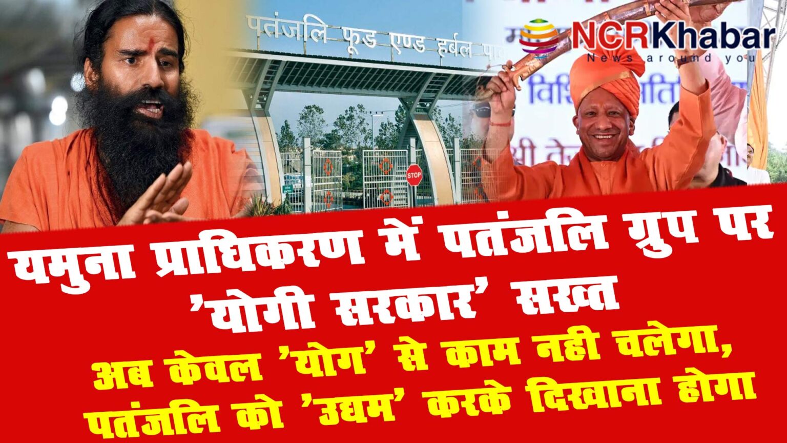 patanjali group
