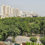 ncrkhabar opration green3