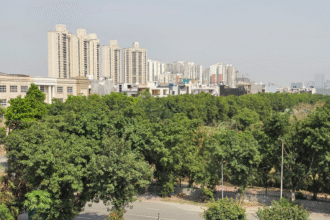 ncrkhabar opration green3