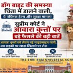 awara kutto par aaya bada faisla