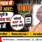 bjp kshetreey adhyaksh kaun