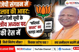 bjp kshetreey adhyaksh kaun