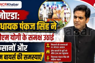 pankaj singh on noida authority
