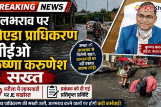 noida ceo krishna karunesh took action on noida issue