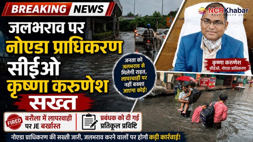 noida ceo krishna karunesh took action on noida issue